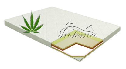 Изображение Ava Hemp